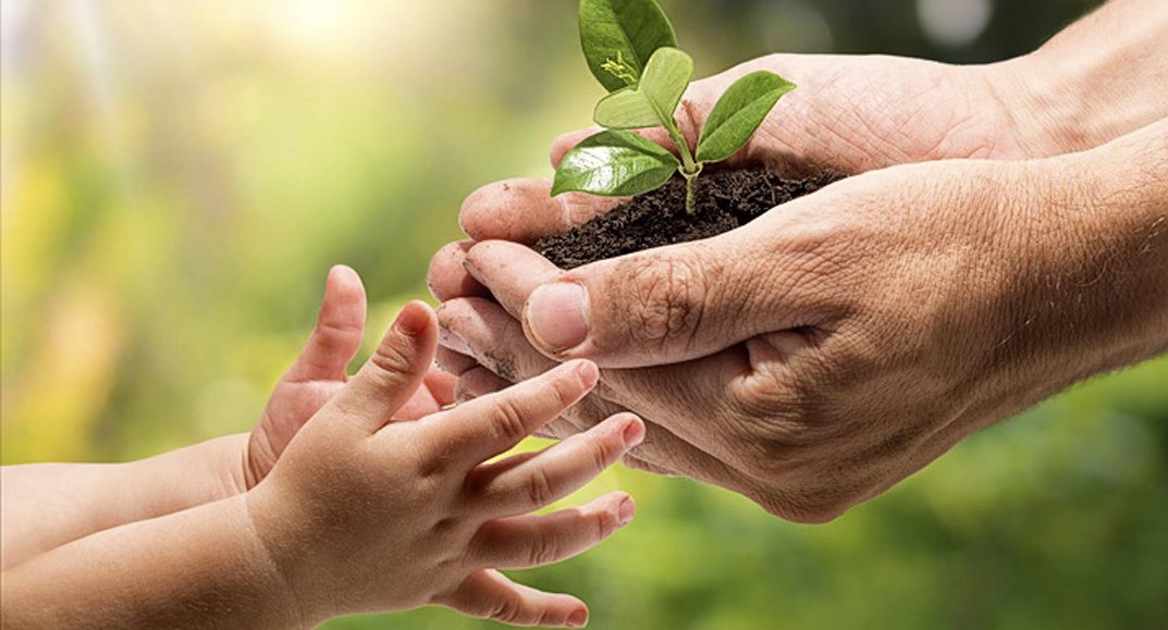 Derecho Ambiental y Regulatorio